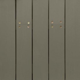Automn-gray-ns-1572